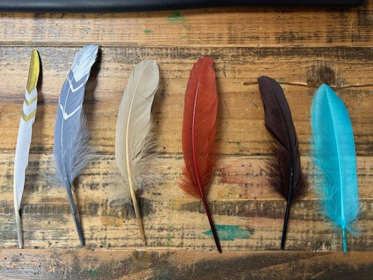 Feathers For Straw Hats