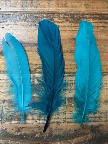 Feathers For Straw Hats